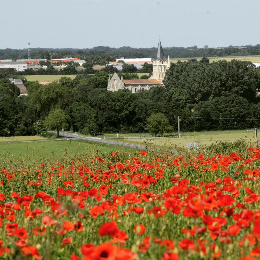 مبيت وإفطار Aulnay  Les Noyers Aulnay المظهر الخارجي الصورة